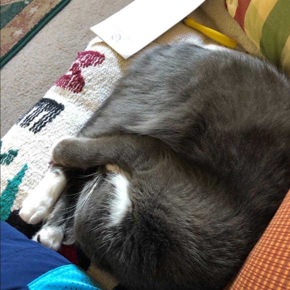 Fiona, My Posh Helper - Picture 6 of 10